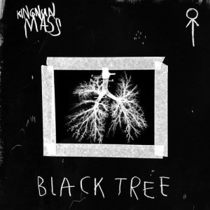 ดาวน์โหลดและฟังเพลง Bug (Explicit) พร้อมเนื้อเพลงจาก King Nun