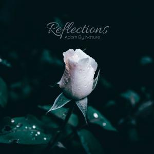 ดาวน์โหลดและฟังเพลง Reflections พร้อมเนื้อเพลงจาก adam by nature