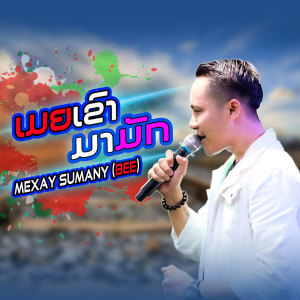 Listen to ເມຍເຂົາມາມັກ(เมียเขามามัก) song with lyrics from มีชัย สุมานี