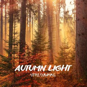 Album Autumn Light oleh Dizolve