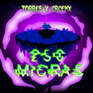 ดาวน์โหลดและฟังเพลง 250 Micras (feat. CRCE MX) (Explicit) พร้อมเนื้อเพลงจาก Torres