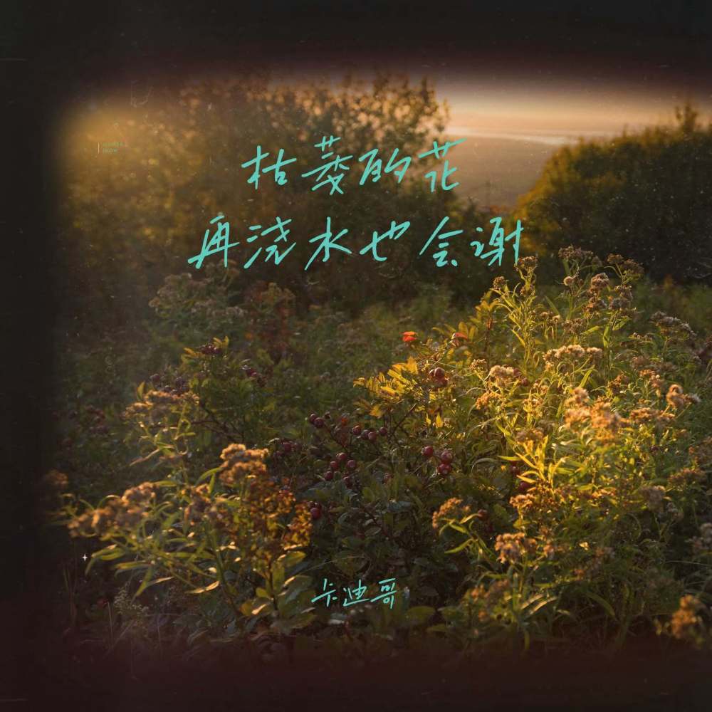 枯萎的花再浇水也会谢