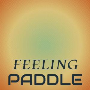 Various Artists的專輯Feeling Paddle