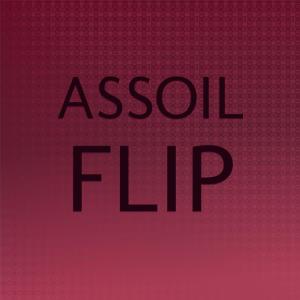 Various的专辑Assoil Flip