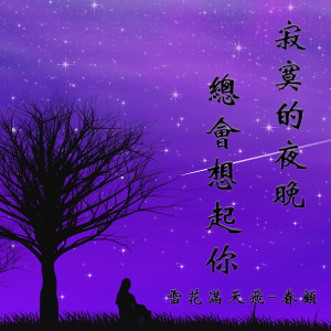 收听雪花满天飞的寂寞的夜晚总会想起你（缺女声） (伴奏)歌词歌曲
