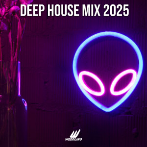 Album Deep House Mix 2025 (Explicit) oleh Mister Mijaga