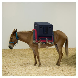 Rodrigo Campos的專輯Sambas do Absurdo