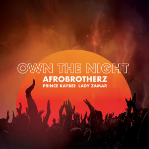 ดาวน์โหลดและฟังเพลง Own The Night (Edit) พร้อมเนื้อเพลงจาก Afro Brotherz
