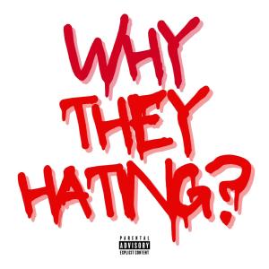 อัลบัม WHY THEY HATING? (feat. Jaye Dolla & Demise) (Explicit) ศิลปิน Demise