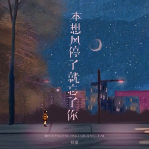 Album 本想风停了就忘了你 from 任夏