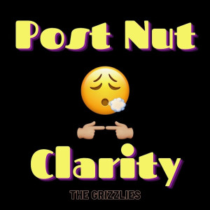ดาวน์โหลดและฟังเพลง Post Nut Clarity (Explicit) พร้อมเนื้อเพลงจาก Moose and the Grizzlies