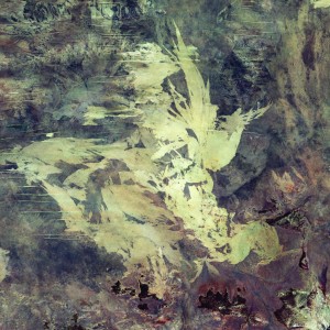 Album carnation from 