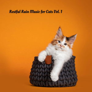 Album Restful Rain Music for Cats Vol. 1 oleh cloudy night