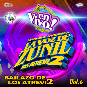 收聽Marimba Orquesta La Voz de Zunil的Zuni-Mix a Fidel Funes: Ilusiones / Mala Mujer (En Vivo)歌詞歌曲