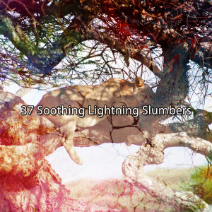 Album 37 Soothing Lightning Slumbers oleh Relaxing Rain Sounds