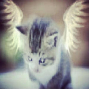 收聽Hexx的nvrr b alone (feat. Z0P!CL0NE) (Explicit)歌詞歌曲