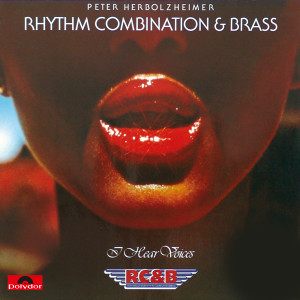 Peter Herbolzheimer Rhythm Combination的專輯I Hear Voices