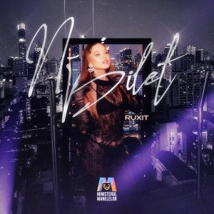Album N-ai bilet from 