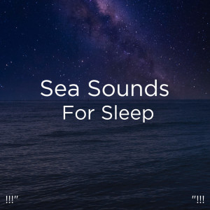 Album !!" Sea Sounds For Sleep "!!! oleh Relajacion Del Mar