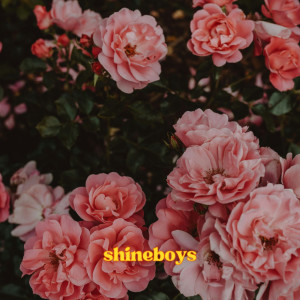 收听Shineboys的โบตั๋น (Peony)歌词歌曲