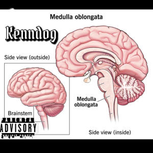 Album Medulla (Explicit) from Kenndog