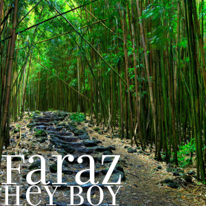 Listen to Hey Boy song with lyrics from Faraz