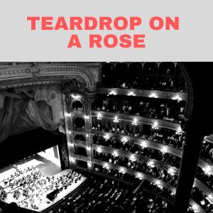 Hank Williams的專輯Teardrop On a Rose