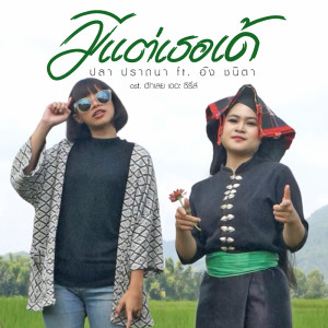 ดาวน์โหลดและฟังเพลง มีแต่เธอเด้ Feat. อิง ชนิตา พร้อมเนื้อเพลงจาก ปลา ปราถนา