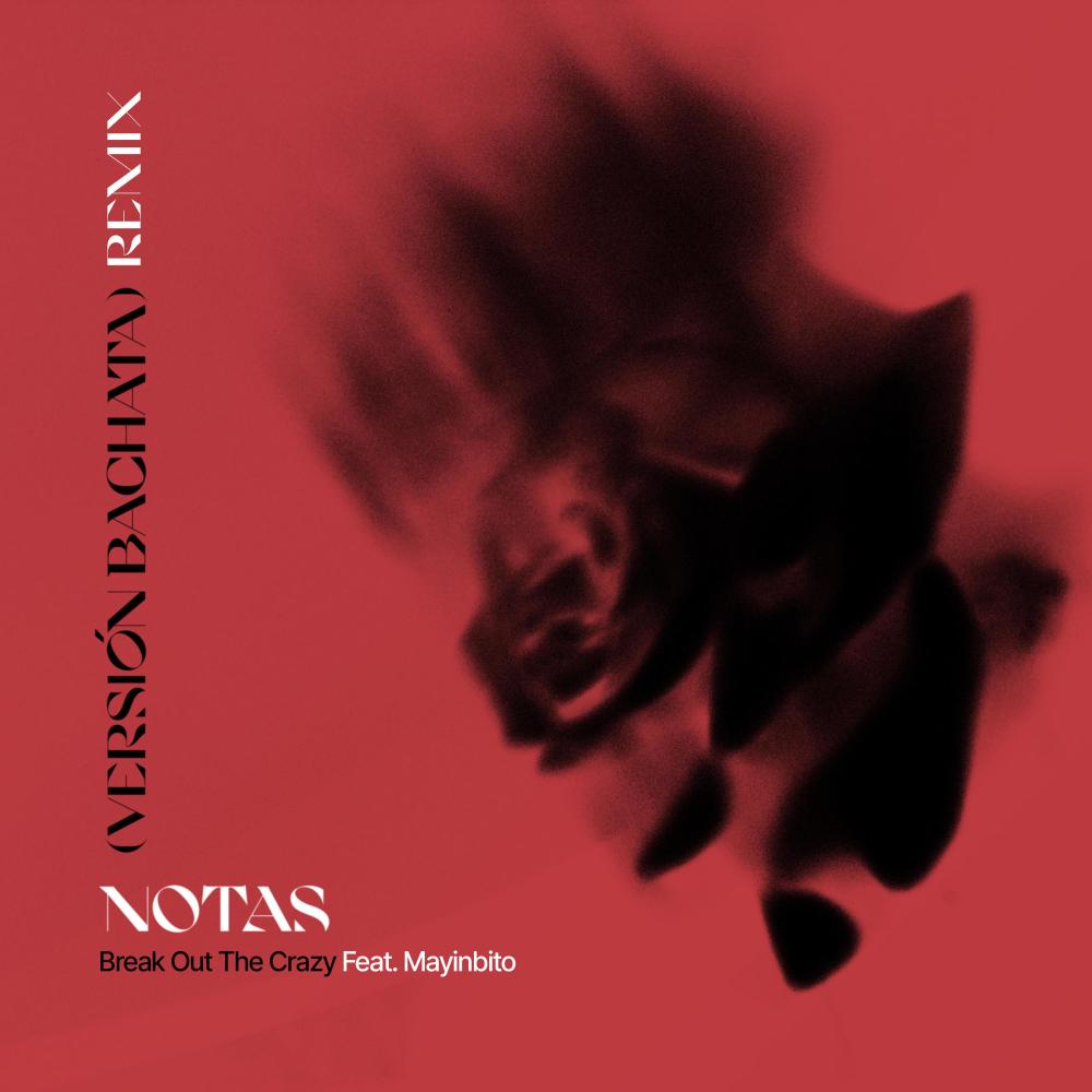 Notas (feat. Mayinbito) (Versión Bachata Remix)