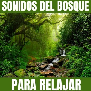 Album Sonidos del Bosque para Relajar from Paz Mental
