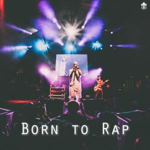 Various的专辑Born to Rap