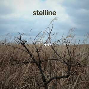Dengarkan lagu tree nyanyian stelline dengan lirik