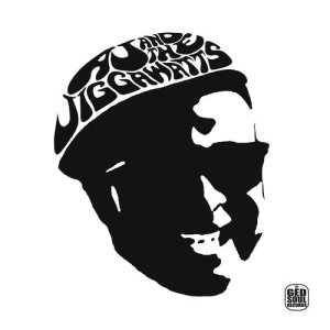 收聽A.J. and the Jiggawatts的Throw a Fit歌詞歌曲