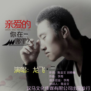 收聽龍飛的親愛的你在哪裏歌詞歌曲