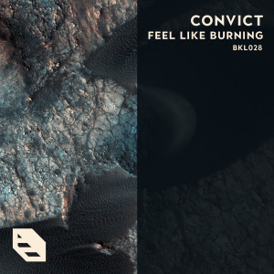 Convict的专辑Feel Like Burning (Radio Edit)