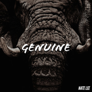 Listen to Genuine (Explicit) song with lyrics from Nate Lee