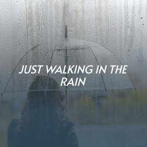 收聽Jim Reeves的Just Walking in the Rain歌詞歌曲