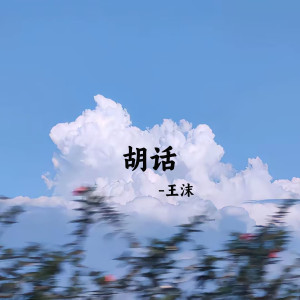 Album 胡话 from 王沫