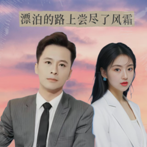琳歌的專輯漂泊的路上嚐盡了風霜 (對唱DJ版)