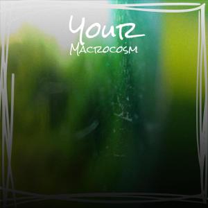 收聽Vins Kith的Steatite Toothbill歌詞歌曲