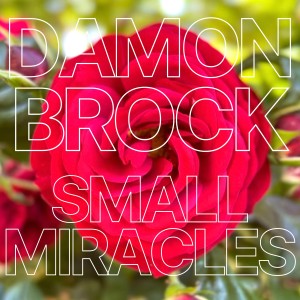 Damon Brock的专辑Small Miracles