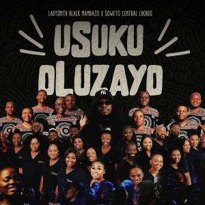 收聽Ladysmith Black Mambazo的Usuku Oluzayo (Edit)歌詞歌曲