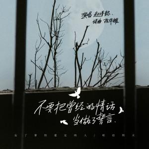 Listen to 不要把曾经的情话当做了誓言（女版） (伴奏) song with lyrics from 赵诗懿