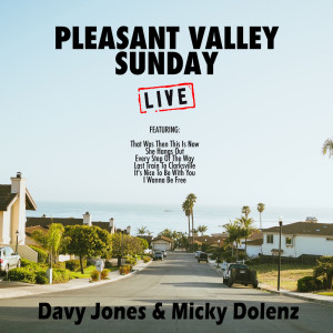 Pleasant Valley Sunday (Live)