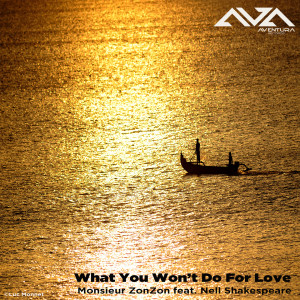 Listen to What You Won't Do For Love (Franck Dona Mix) song with lyrics from Monsieur ZonZon