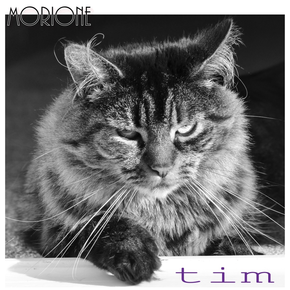 Morione