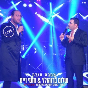 Listen to אהבת תורה (Live) song with lyrics from שלום ברנהולץ