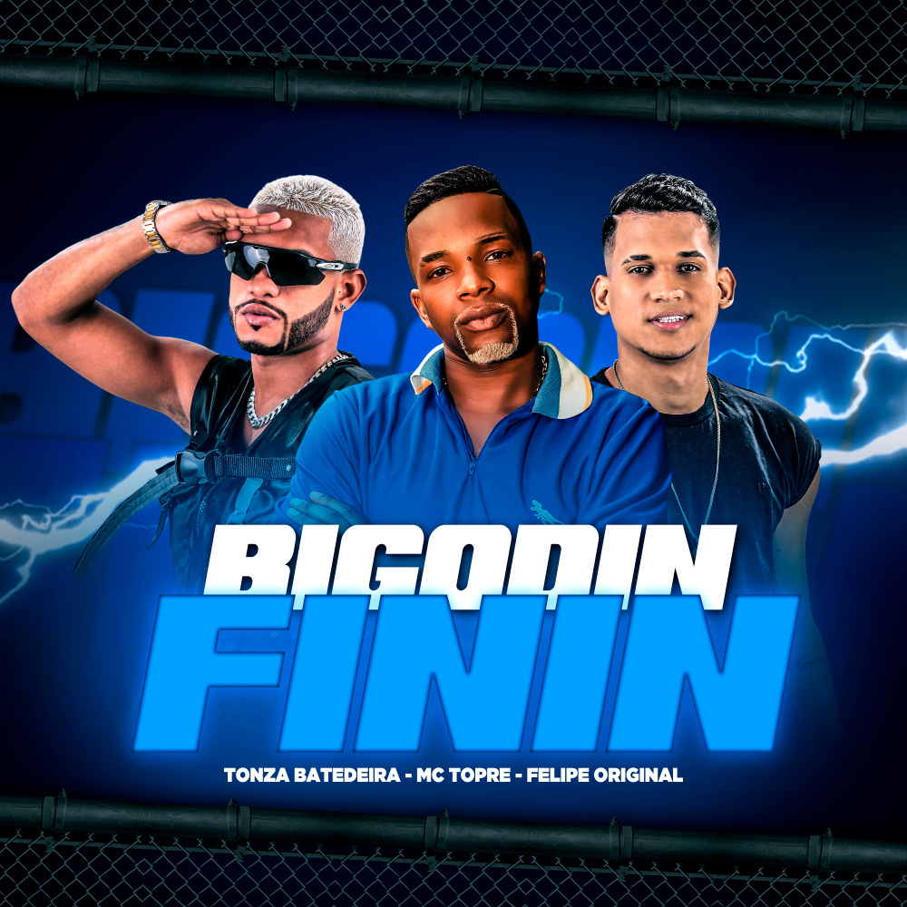 Bigodin Finin