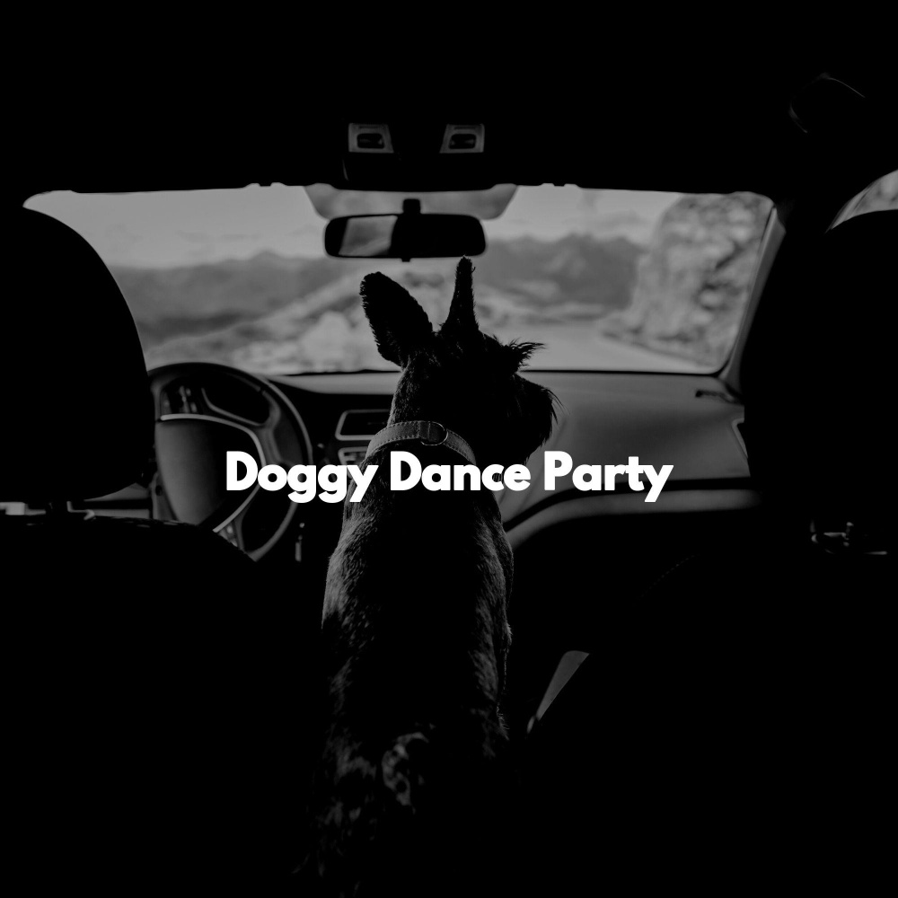 Sophisticated Waltz - Vibe for Doggies in December