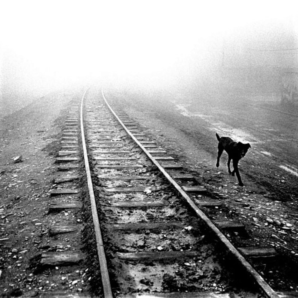 Train Trax